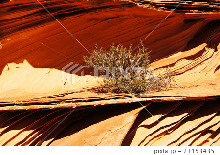 The Wave, Arizona, USA The Wave, Arizona, USA 23153435