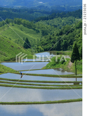 扇田の田植風景Ⅳ 23155036