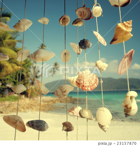 Sea Shells Shore Malaysia Beach Concept 23157870