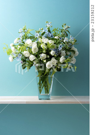 青い背景と白い薔薇とブルースターとスマイラックス 23159212