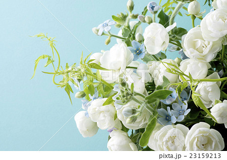 青い背景と白い薔薇とブルースターとスマイラックスの写真素材