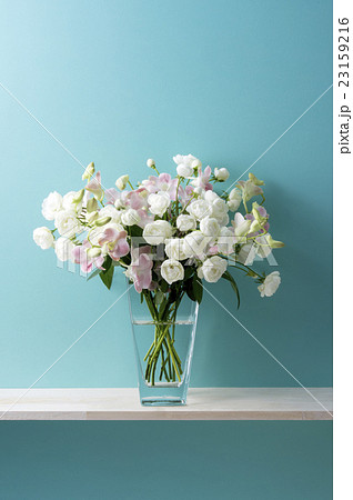 青い背景と白い薔薇とピンクのデンファレ 23159216