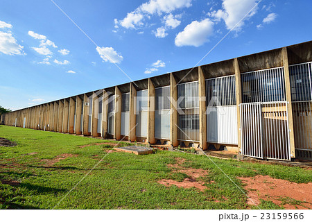 ブラジル　ブラジリア　ブラジリア大学 23159566