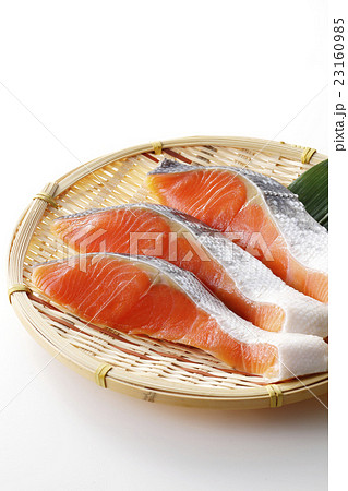 鮭 23160985