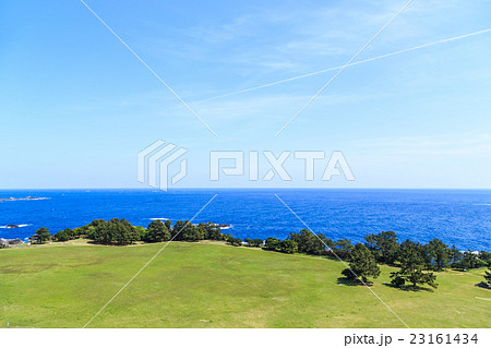 本州最南端の潮岬　望楼の芝 23161434