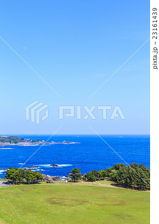 本州最南端の潮岬　望楼の芝 23161439