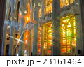 サグラダファミリアのステンドグラス 23161464