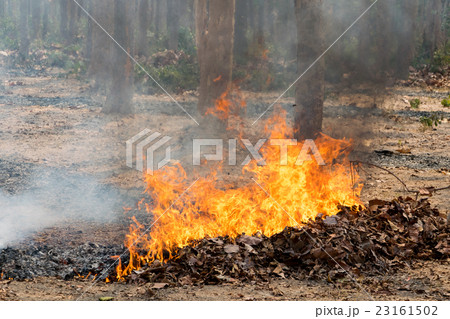 nature disaster nature disaster 23161502