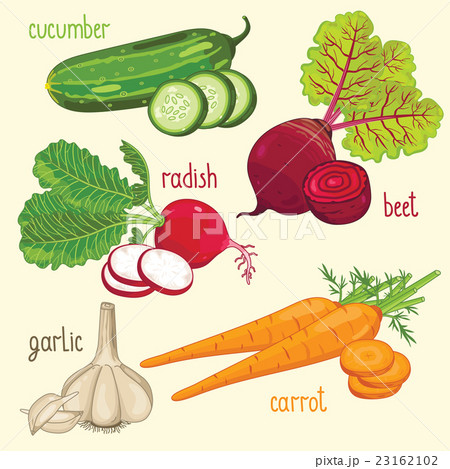 Vegetable mix vector 23162102