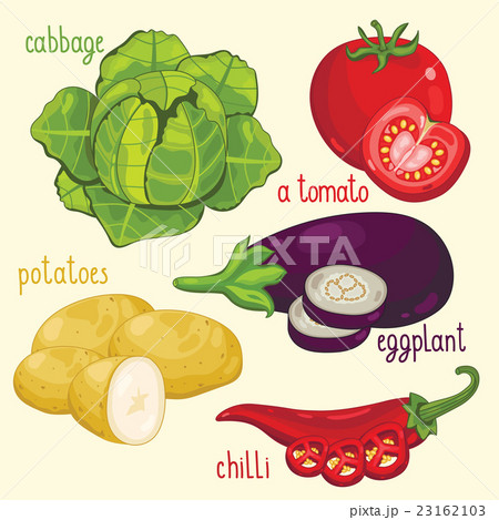 Vegetable mix vector 23162103