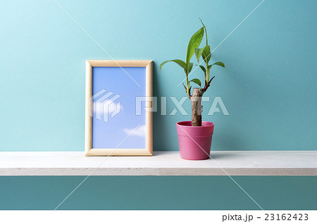 青い背景と観葉植物と額 23162423