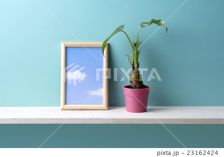 青い背景と観葉植物と額 23162424