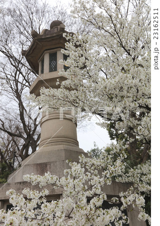 lamp stone at Yasukuni Shrine 23162511