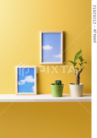 黄色の背景と観葉植物と額 23162652