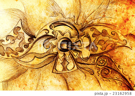 Color drawing of ornamental flower structure Color drawing of ornamental flower structure 23162958