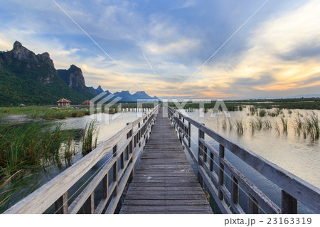 Wooden Bridge in lotus lake Wooden Bridge in lotus lake 23163319
