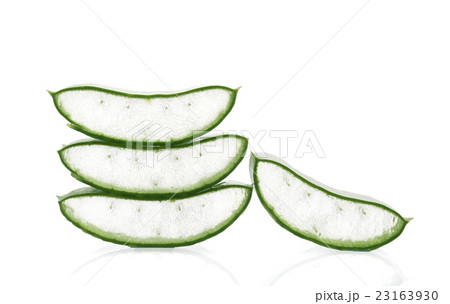 aloe vera aloe vera 23163930