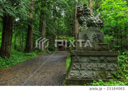 戸隠神社　奥社 23164063