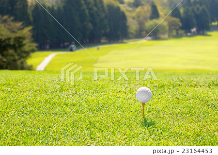 ティーグラウンド 23164453