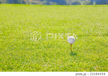 ティーグラウンド 23164459