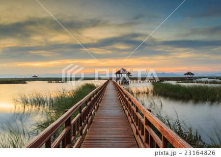 Wooden Bridge in lotus lake Wooden Bridge in lotus lake 23164826