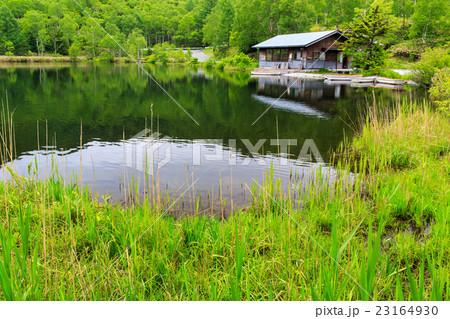 志賀高原　木戸池 23164930