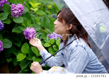 雨傘を差す女性 梅雨の楽しみ 雨と紫陽花 23165761