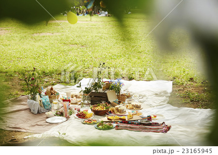 ピクニック　イメージ 23165945
