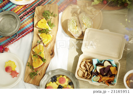 ピクニック　イメージ 23165951