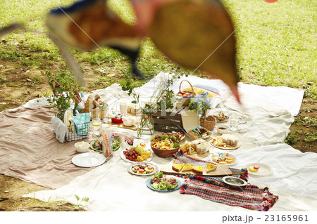 ピクニック　イメージ 23165961