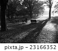 落胆 23166352