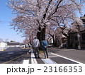 青春 23166353