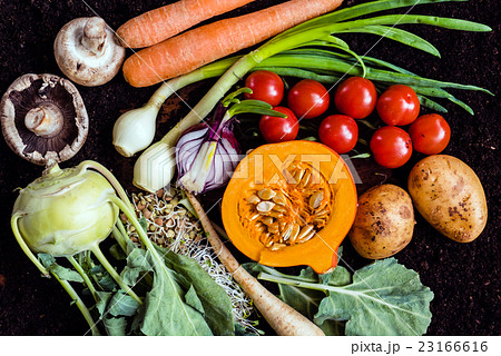 fresh organic vegetables 23166616