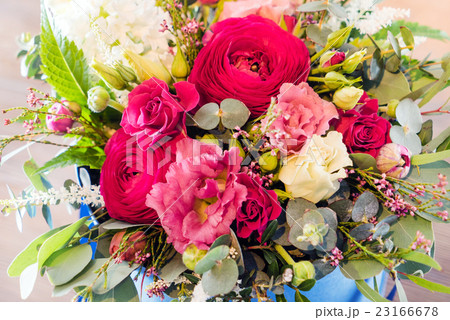nice flowers nice flowers 23166678