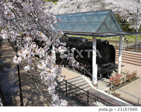 山北鉄道公園のSL、D5240 23167066