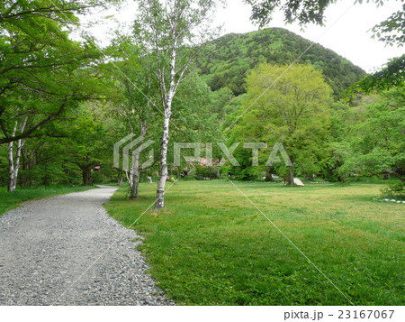 上高地の徳沢キャンプ場 23167067