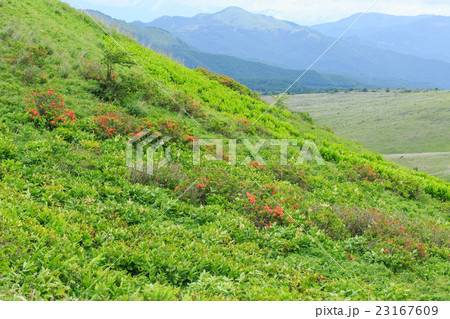 霧ヶ峰 23167609