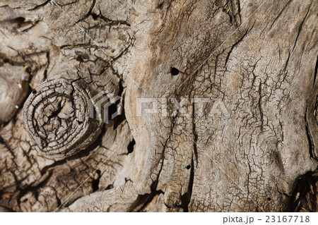 wooden texture 23167718