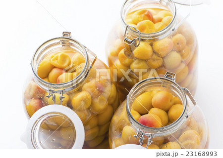 梅仕事 梅干し 南高梅 梅仕事 梅干し 南高梅 23168993