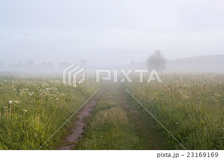 road to fog road to fog 23169169