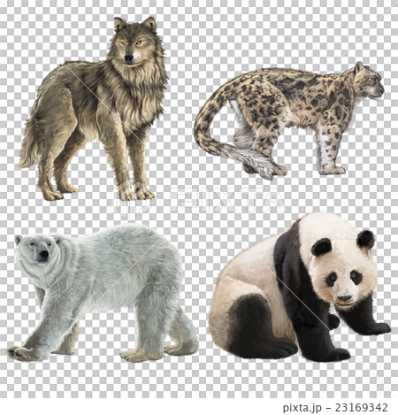 Rare Animals-稀有動物 23169342