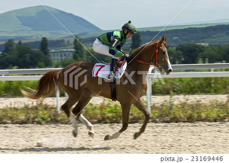 Horse racing in Pyatigorsk Horse racing in Pyatigorsk 23169446