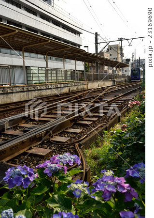 都電荒川線 都電荒川線 23169690