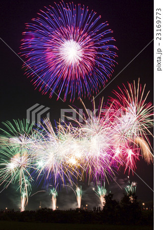 花火 23169773