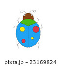 hand-drawing blue ladybug on white background 23169824