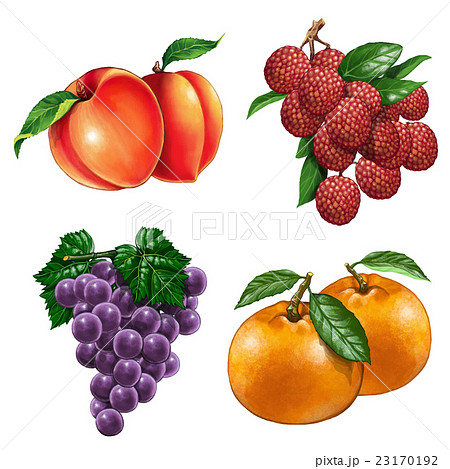 フルーツ 果物 果実のイラスト素材 23170192 Pixta