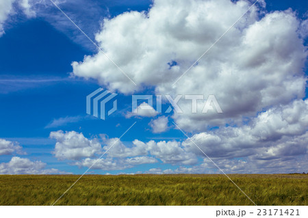 Ukrainian landscape Ukrainian landscape 23171421