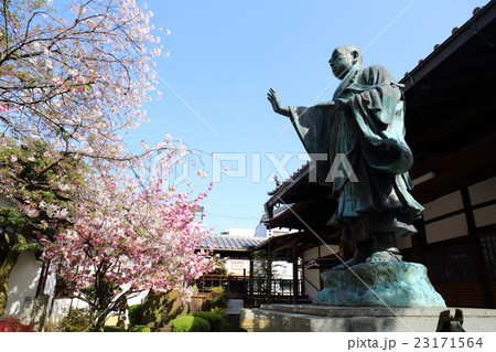 京都　春の墨染寺 23171564