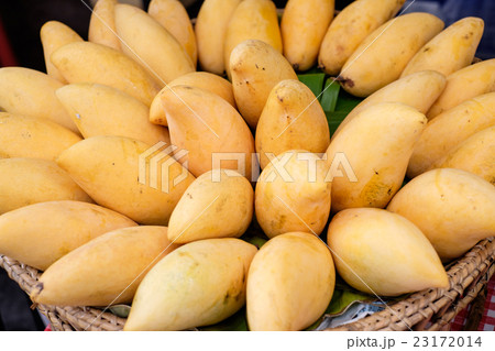 Close up mango for background Close up mango for background 23172014