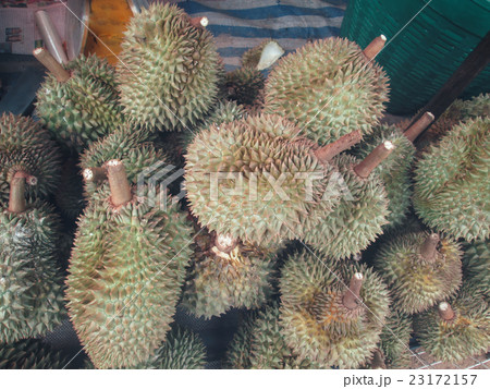 Durian 23172157